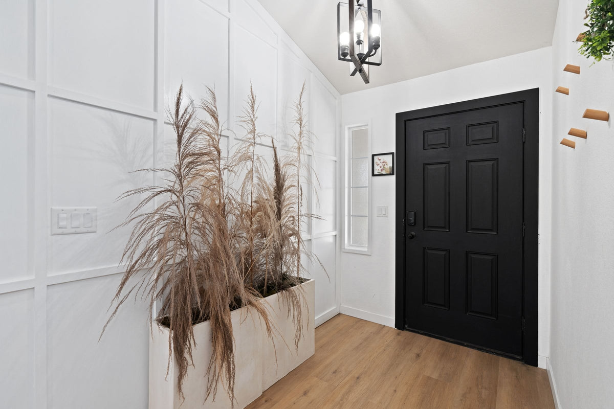 Entrée blanche avec une porte noire et des herbes séchées